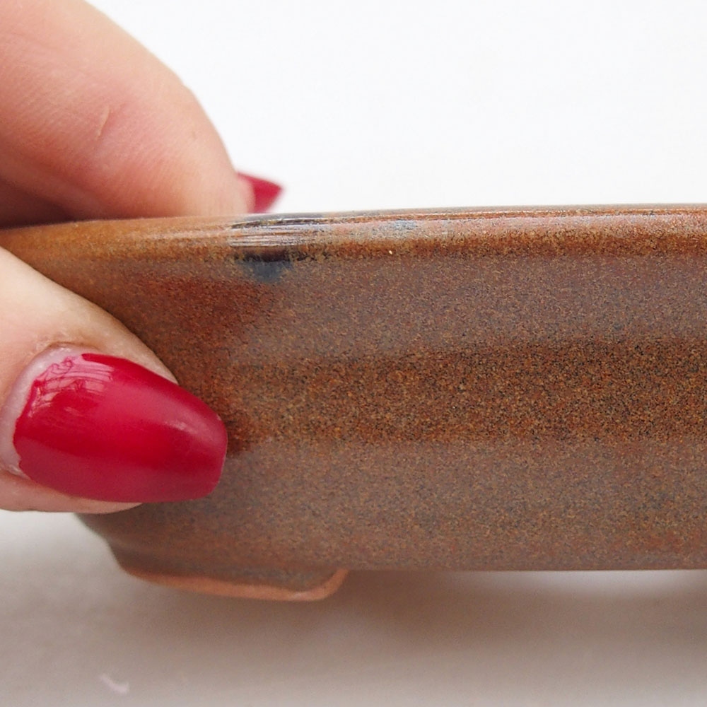 Ciotola per bonsai in ceramica 12 x 10 x 3 cm, marrone