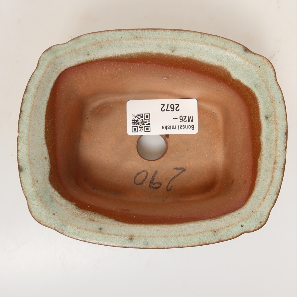 Conchiglia in ceramica  13 x 10,5 x 5,5 cm, colore beige