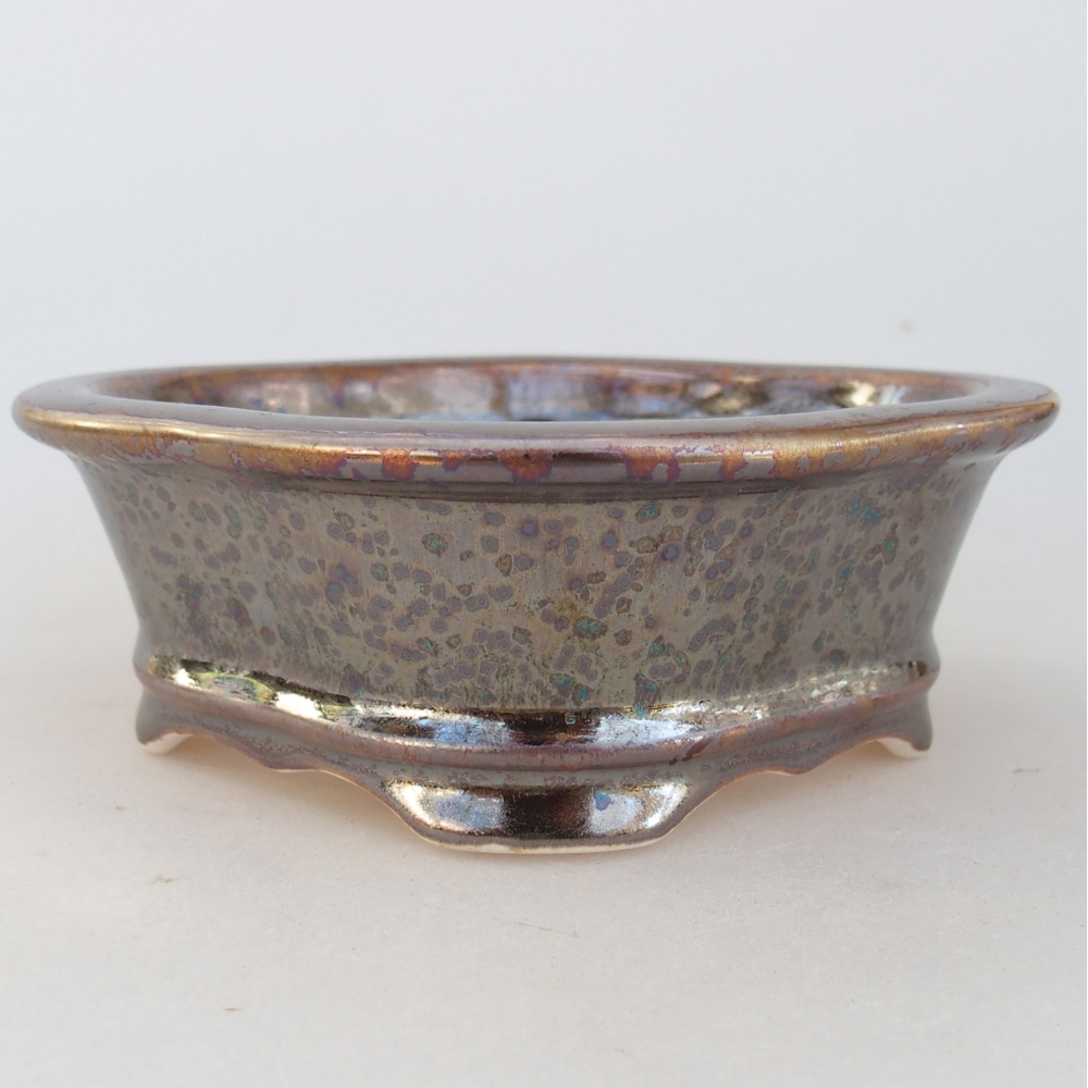 Ciotola bonsai in ceramica 13 x 12 x 5 cm, colore oro