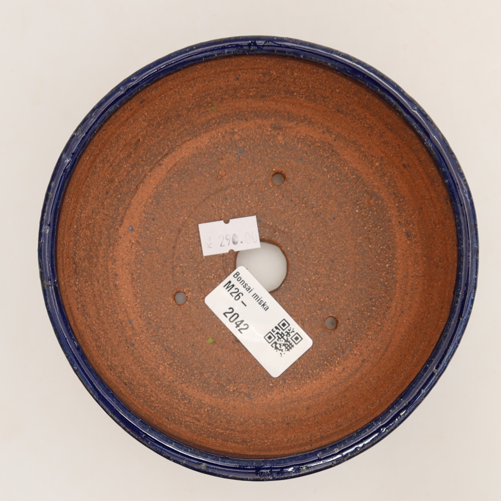 Ciotola bonsai in ceramica 13,5 x 13,5 x 5 cm, colore blu