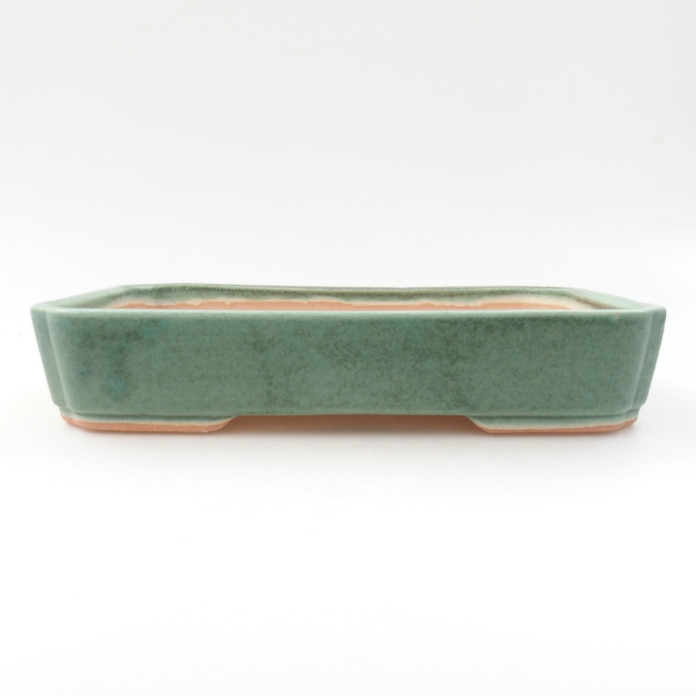 Ciotola bonsai in ceramica 22 x 17 x 5 cm, verde