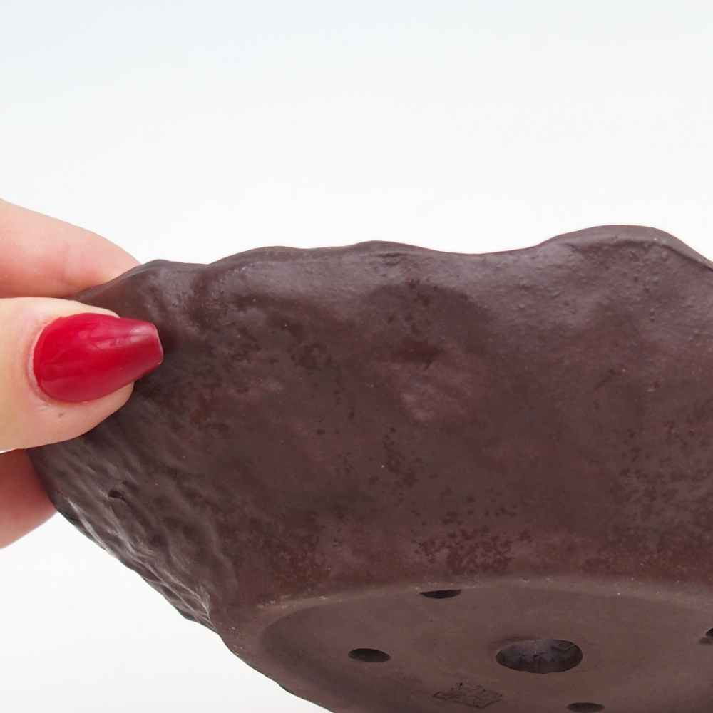 Conchiglia in ceramica 16 x 14,5 x 4 cm , colore marrone