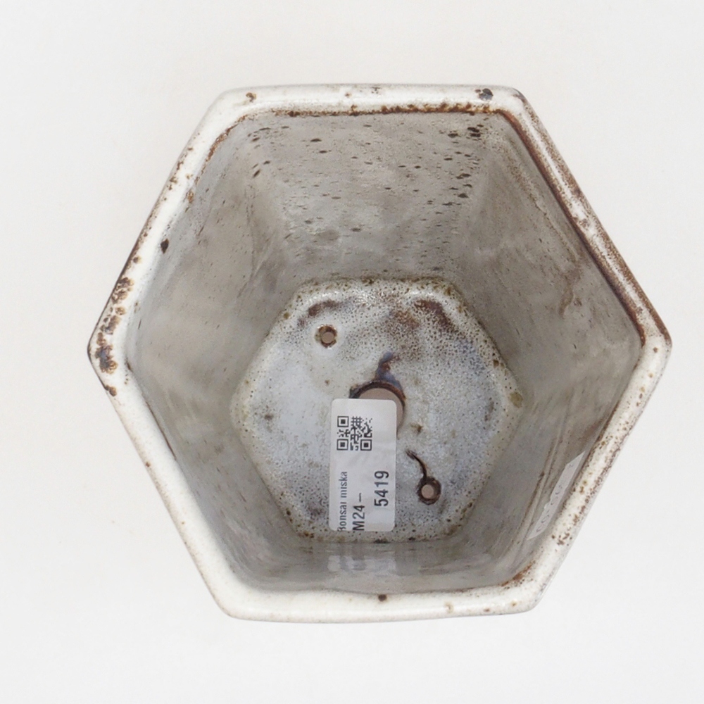 Ciotola per bonsai in ceramica 12,5 x 11,5 x 16,5 cm, colore bianco