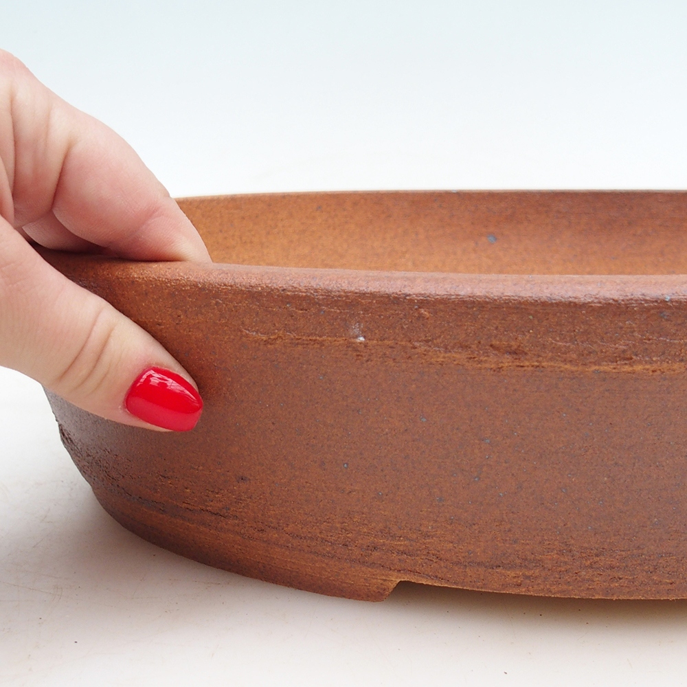 Ciotola bonsai 33 x 26 x 7,5 cm , colore marrone