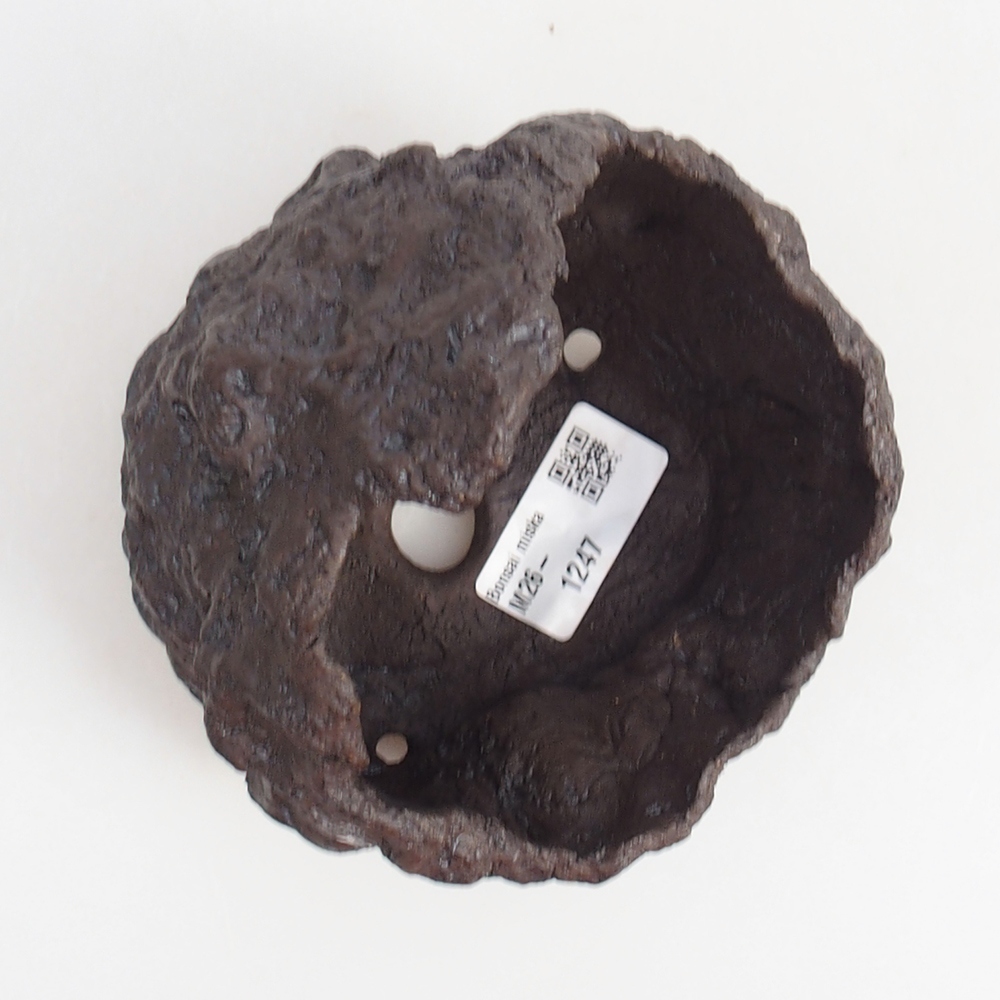 Conchiglia in ceramica 11 x 10 x 14 cm , colore marrone