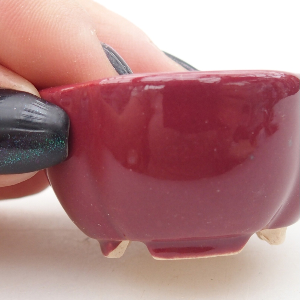 Ciotola per mini bonsai 4 x 4 x 2 cm, bordeaux