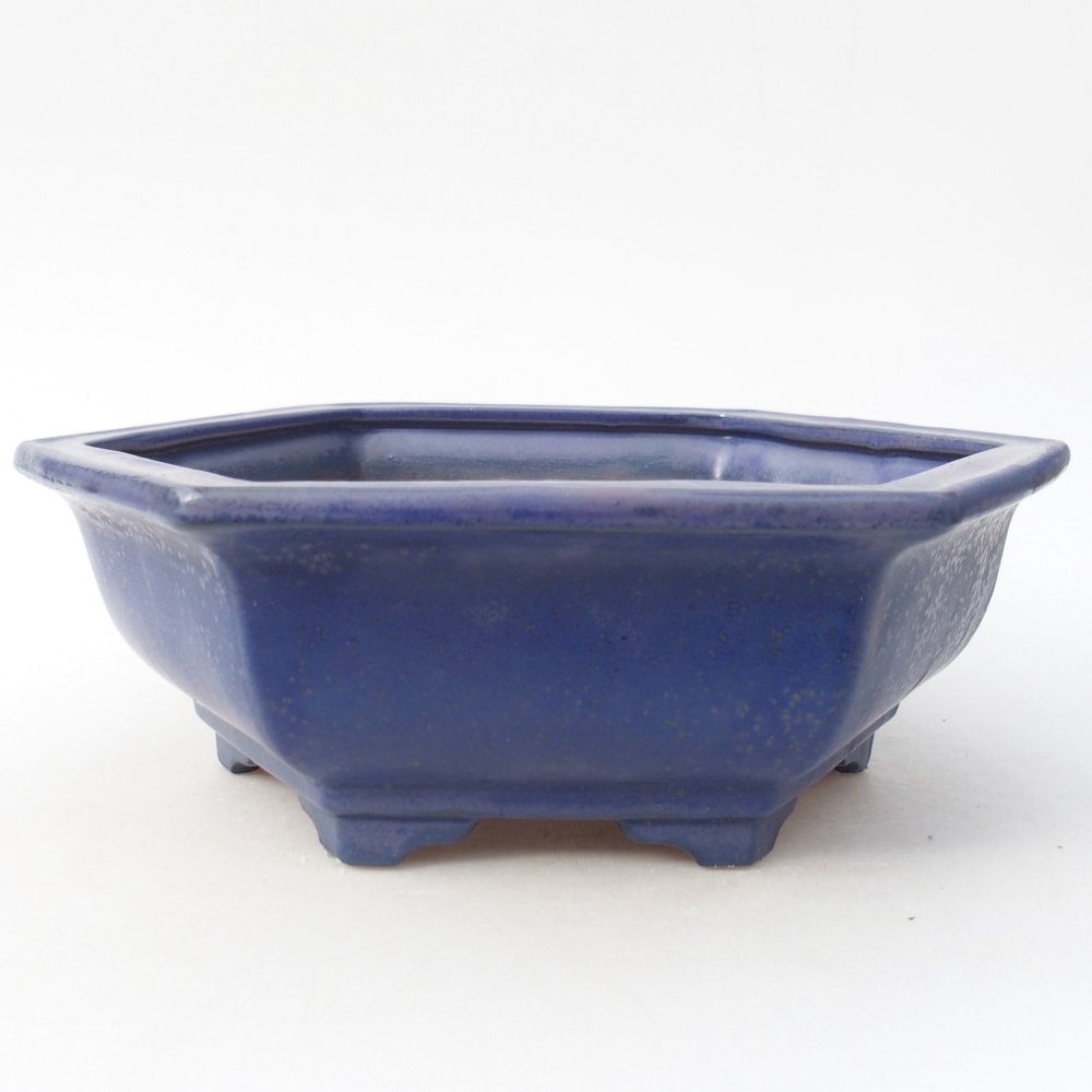 Ciotola bonsai in ceramica 24 x 21 x 7,5 cm, colore blu