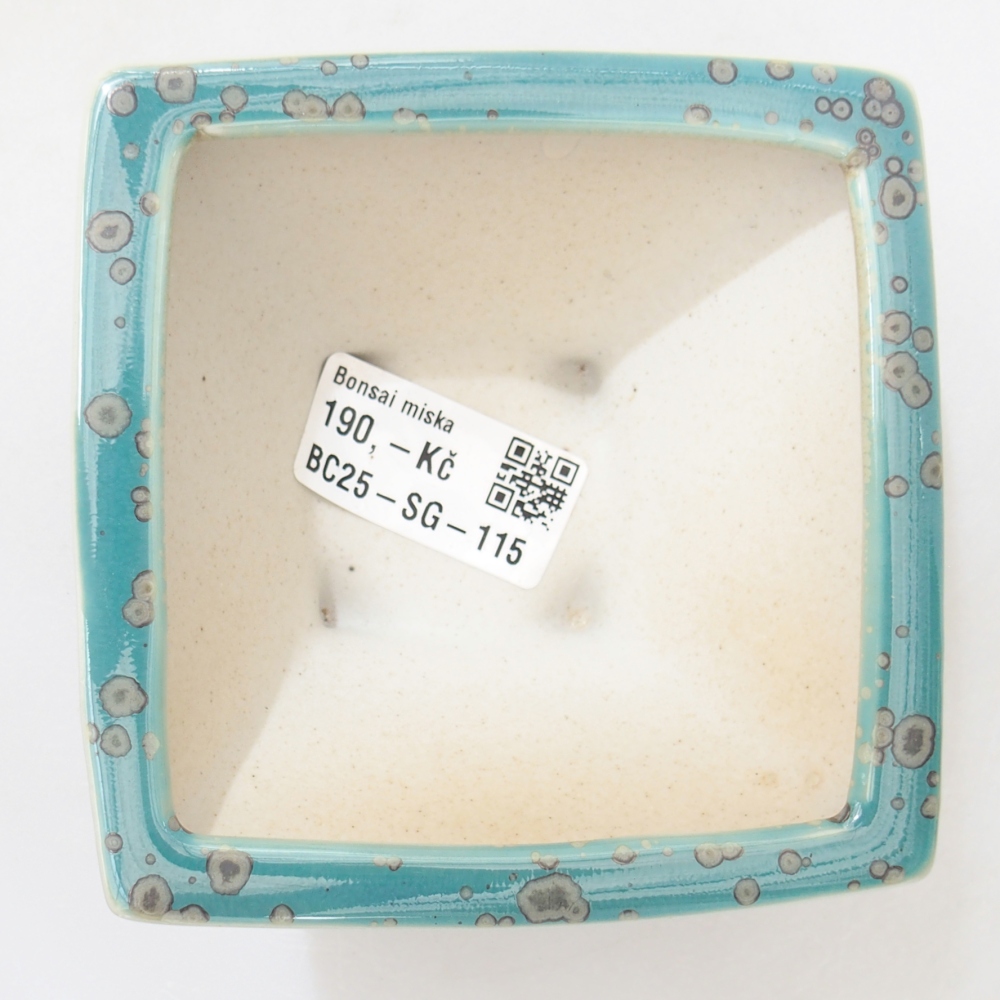 Ciotola 10,5 x 10,5 x 5,5 cm colore blu