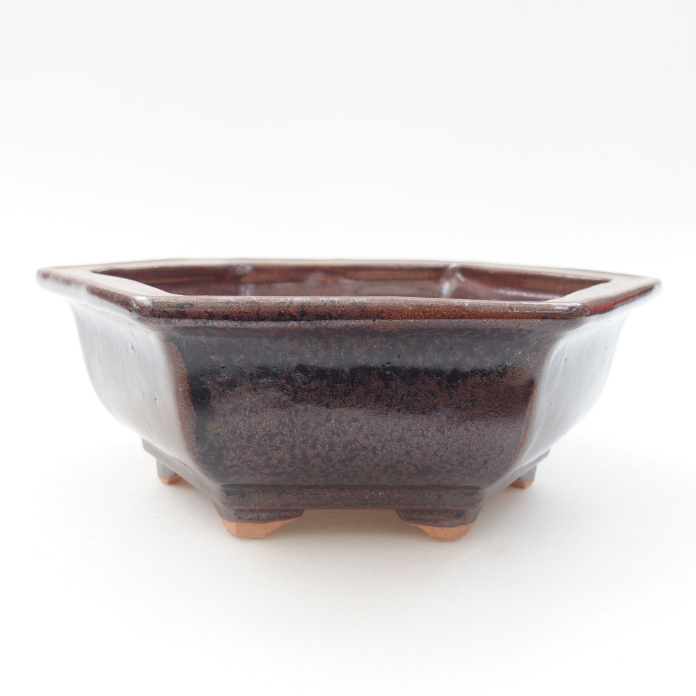 Ciotola bonsai in ceramica 22 x 17 x 5 cm, verde