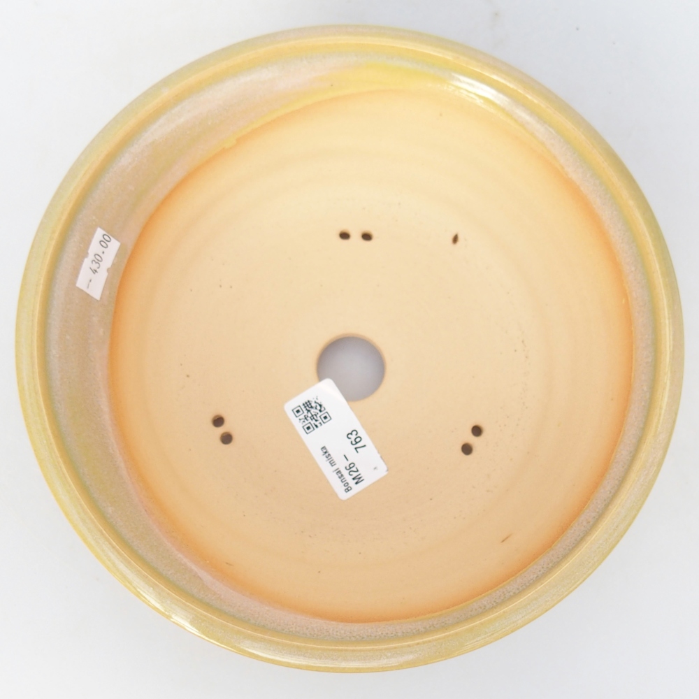 Ciotola bonsai in ceramica 20,5 x 20,5 x 7 cm, giallo-verde