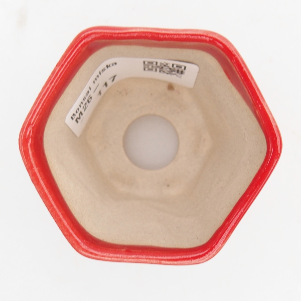 Mini bonsai 5,5 x 5 x 5 cm, colore rosso