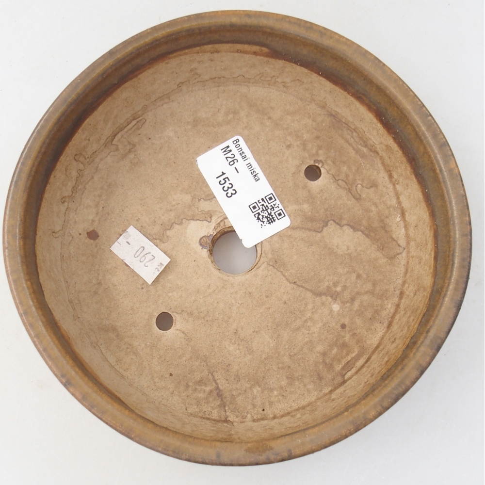 Ciotola per bonsai in ceramica 15,5 x 15,5 x 5 cm, marrone