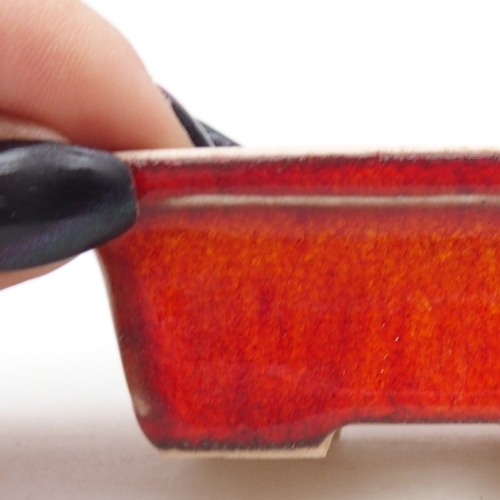 Mini bonsai 6,5 x 4,5 x 2,5 cm, arancio