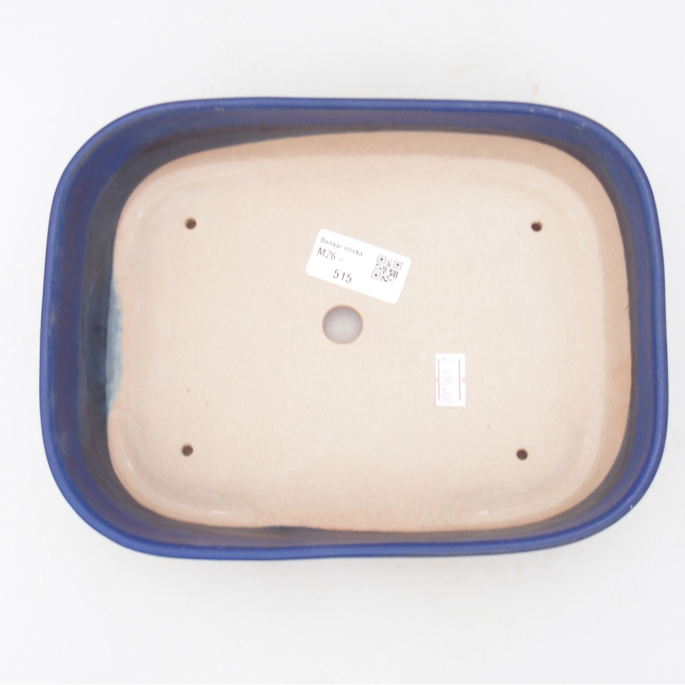 Ciotola bonsai in ceramica 22,5 x 17 x 6 cm, colore blu