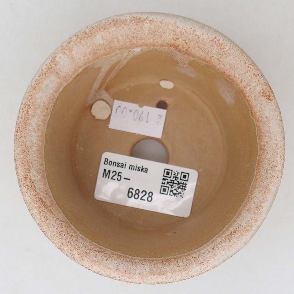 Ciotola bonsai in ceramica 9 x 9 x 5 cm, colore beige