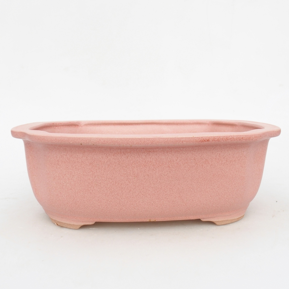 Ciotola bonsai in ceramica 22 x 18 x 7,5 cm, rosa