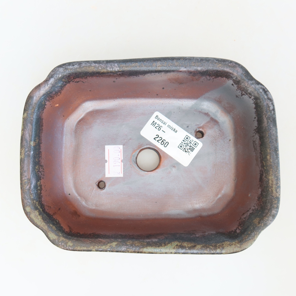 Ciotola per bonsai in ceramica 15,5 x 12 x 4,5 cm, marrone