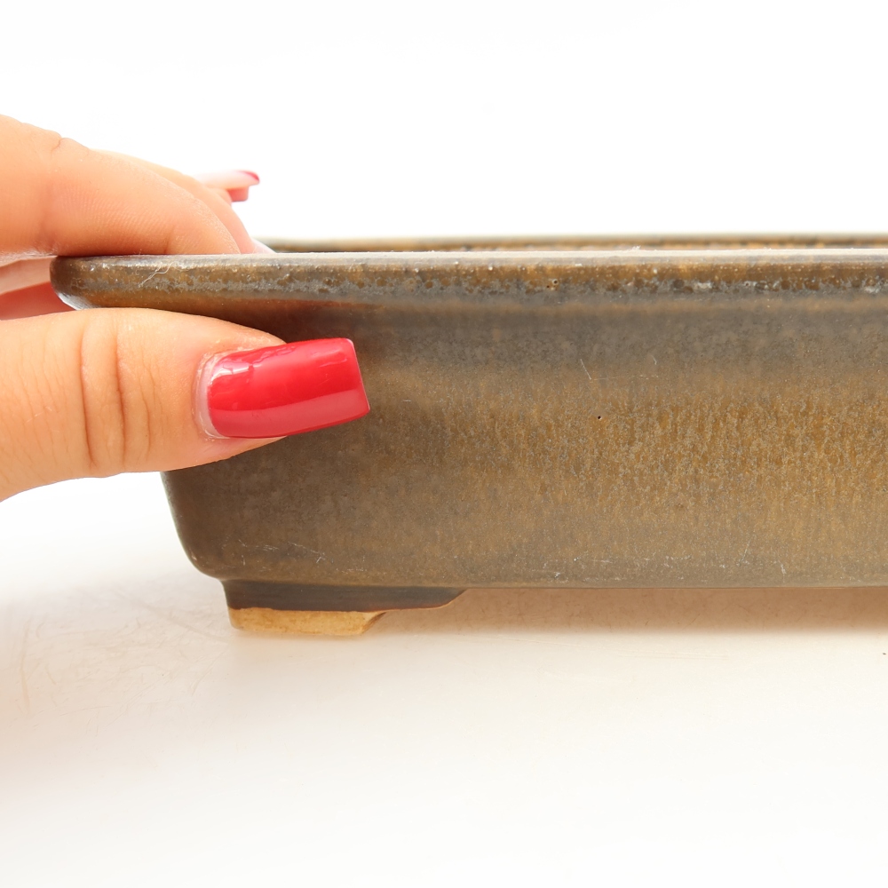 Ciotola bonsai in ceramica 17,5 x 14,5 x 5 cm, marrone