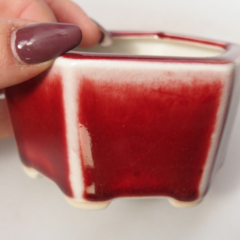 Ciotola per bonsai in ceramica 9 x 8 x 5 cm, colore rosso