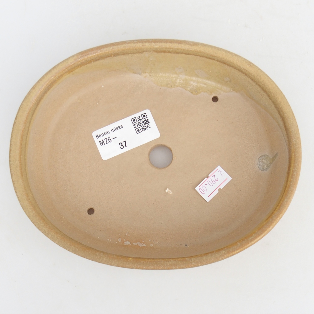 Ciotola bonsai in ceramica 17 x 14 x 4 cm, colore beige