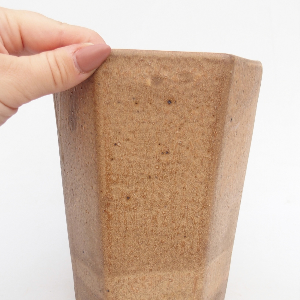 Ciotola per bonsai in ceramica 12,5 x 11,5 x 16,5 cm, marrone