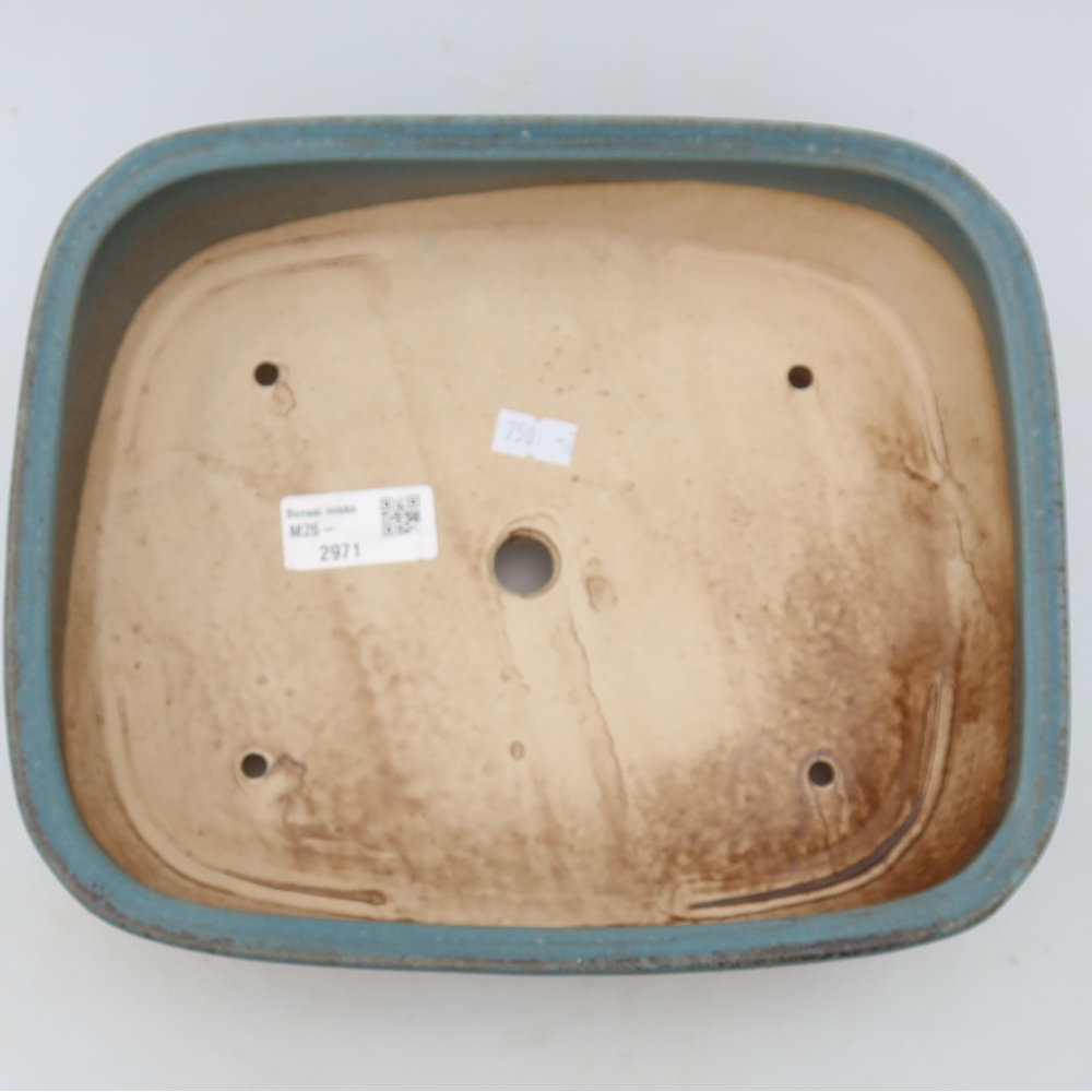 Vaso da bonsai in ceramica 24,5 x 20,5 x 6,5 cm, colore blu