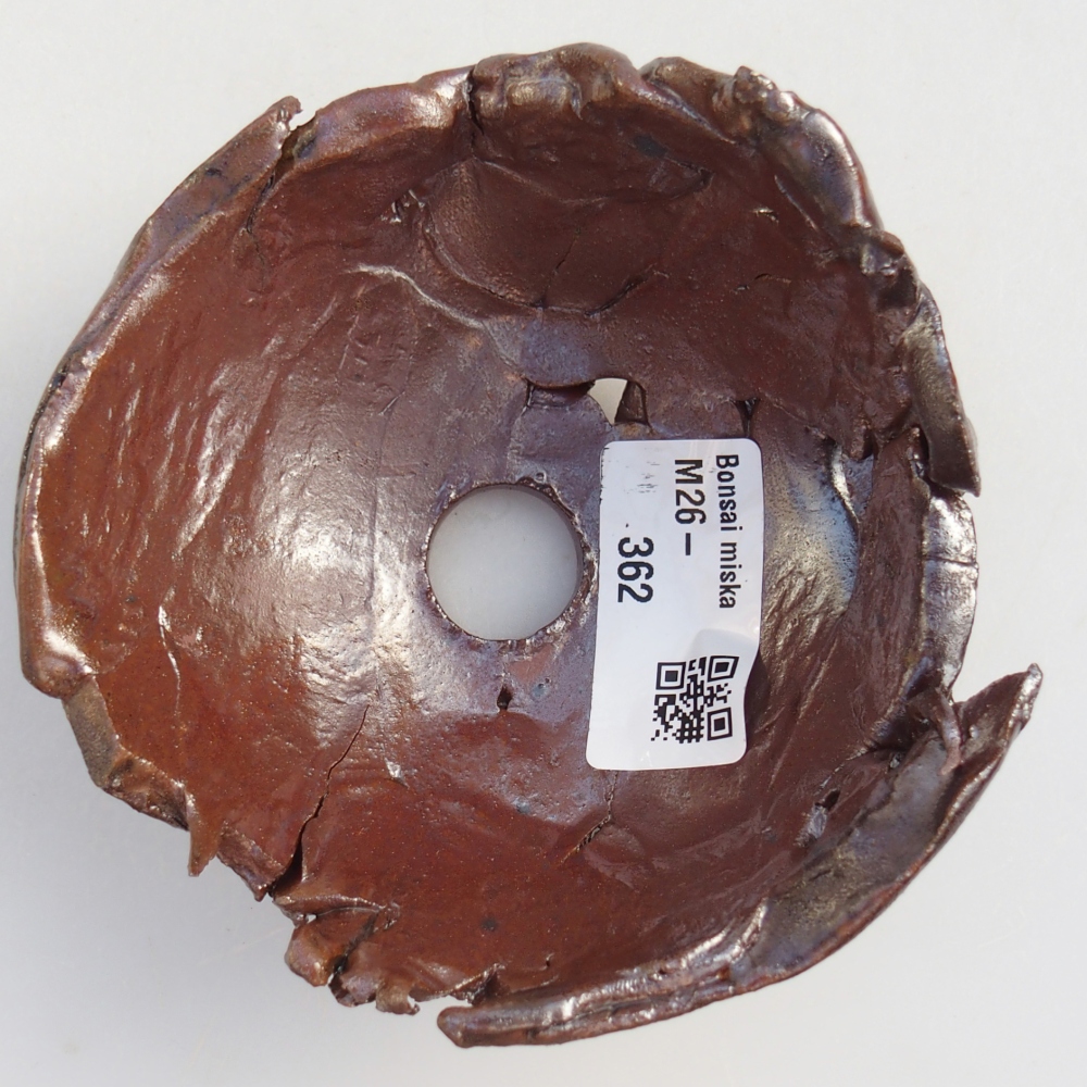 Conchiglia in ceramica 10 x 10 x 6 cm , colore marrone