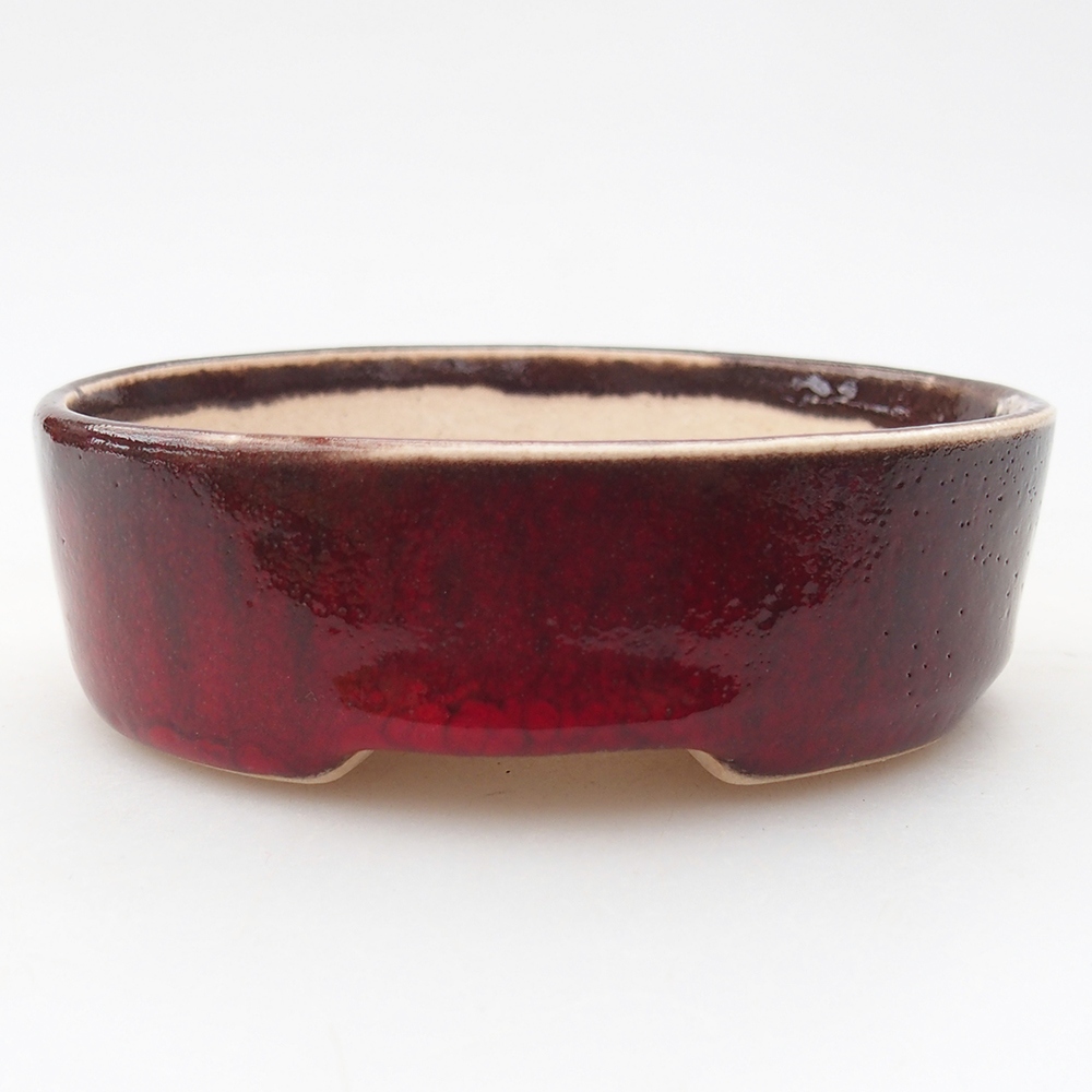 Mini bonsai 9,5 x 8,5 x 3 cm, colore rosso