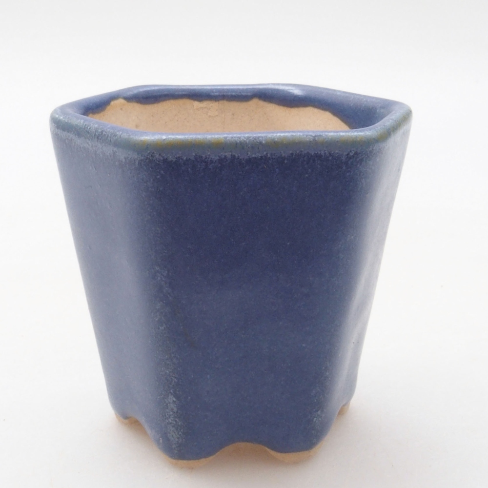 Mini bonsai 5 x 5 x 5 cm, colore blu