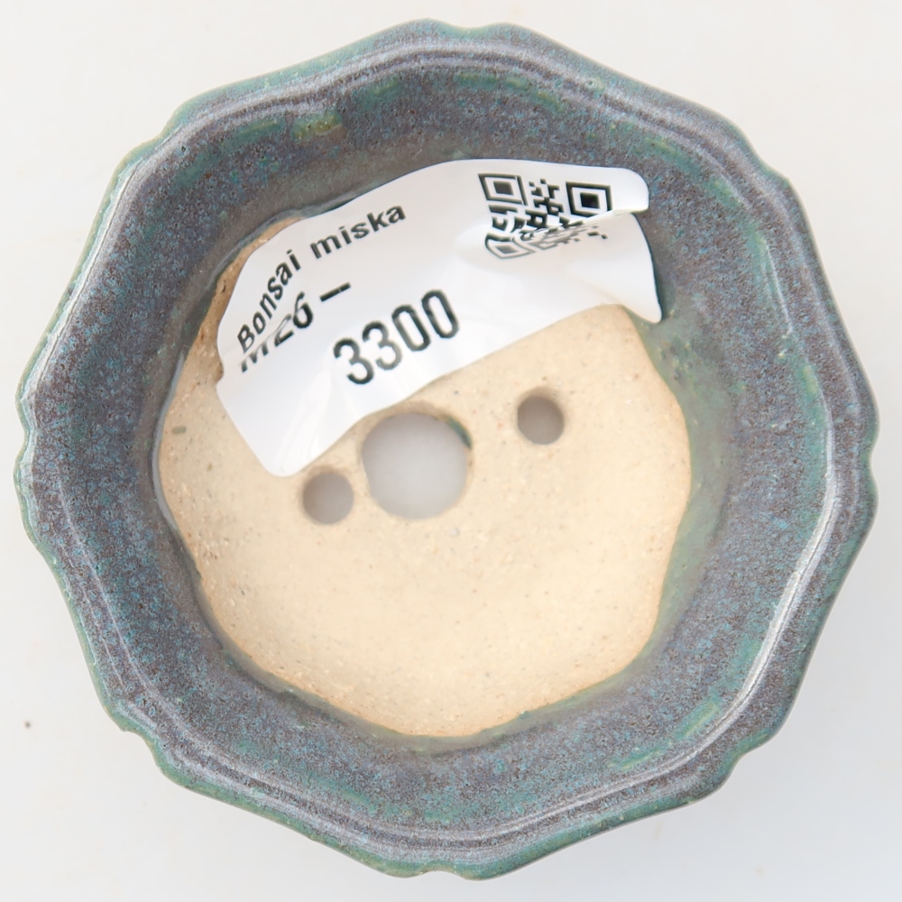 Vaso in ceramica per bonsai 6 x 6 x 2,5 cm, colore grigio