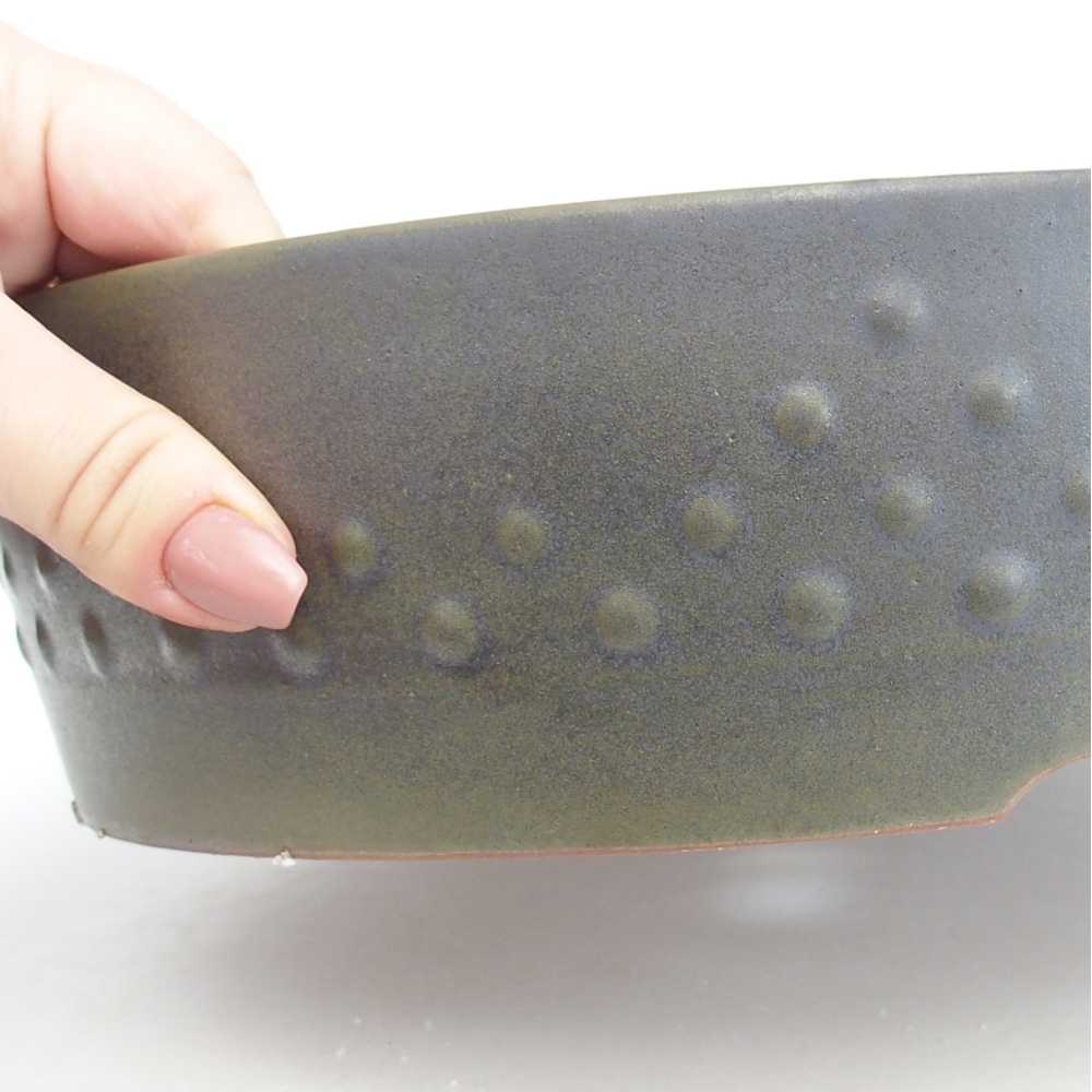 Ciotola per bonsai in ceramica 24,5 x 24,5 x 7,5 cm, verde-grigio