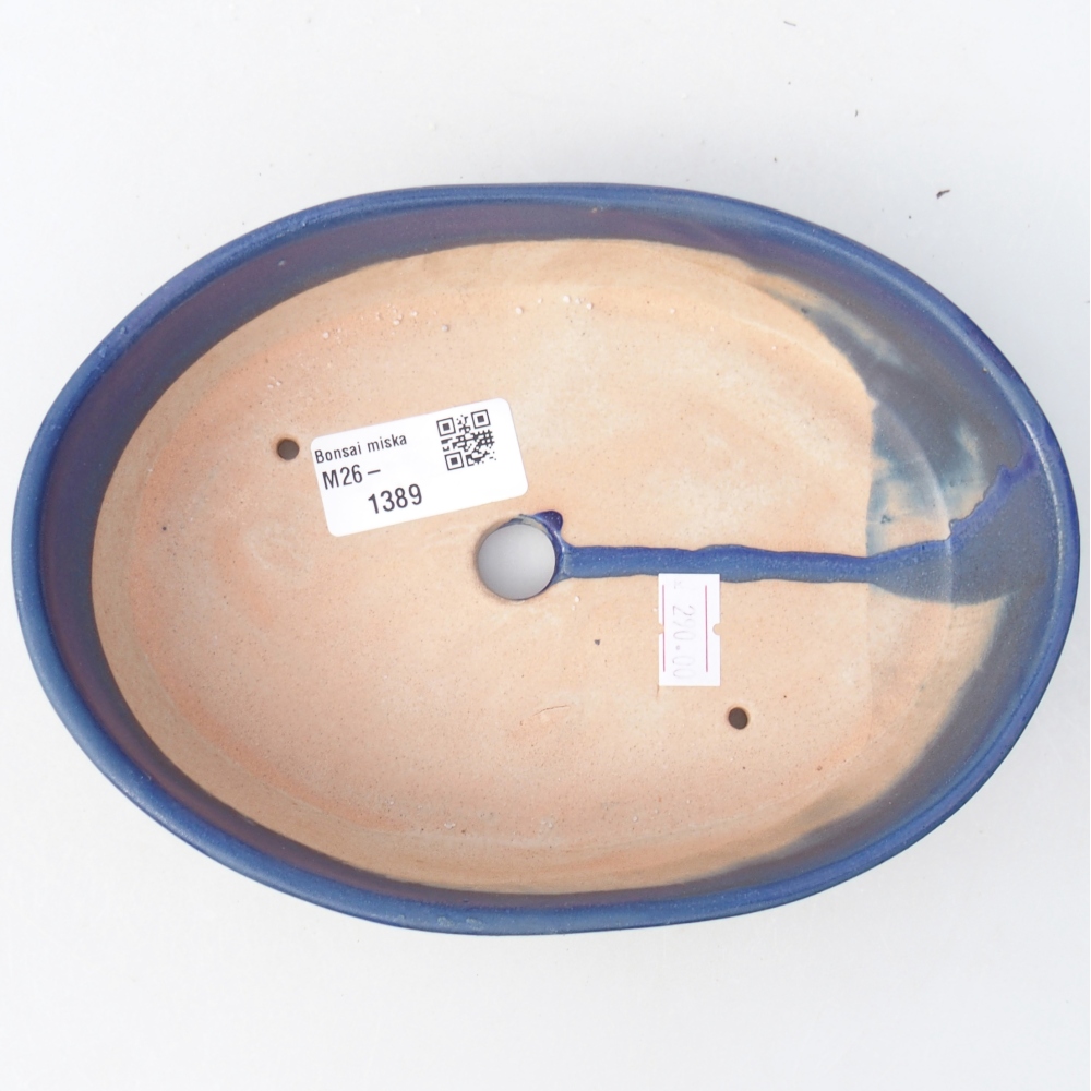 Ciotola bonsai in ceramica 18,5 x 13,5 x 4,5 cm, colore blu