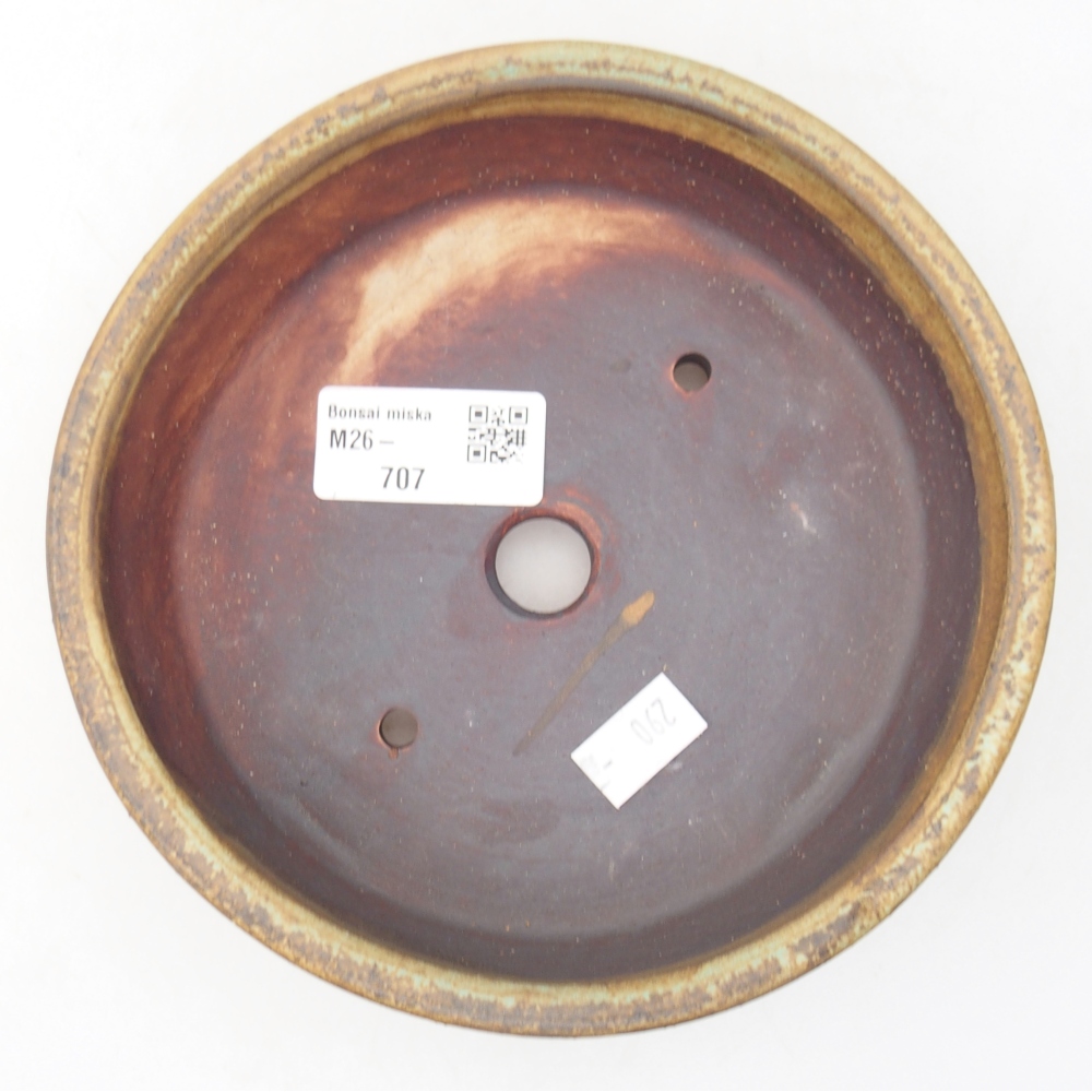 Ciotola per bonsai in ceramica 15,5 x 15,5 x 5 cm, verde