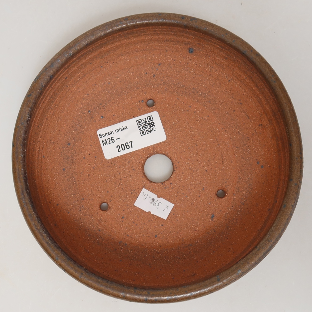 Vaso per bonsai in ceramica 16 x 16 x 5,5 cm, colore marrone