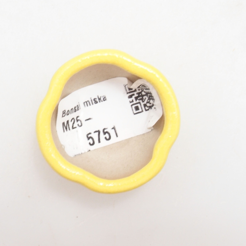 Ciotola per bonsai in ceramica 4 x 4 x 2 cm, giallo