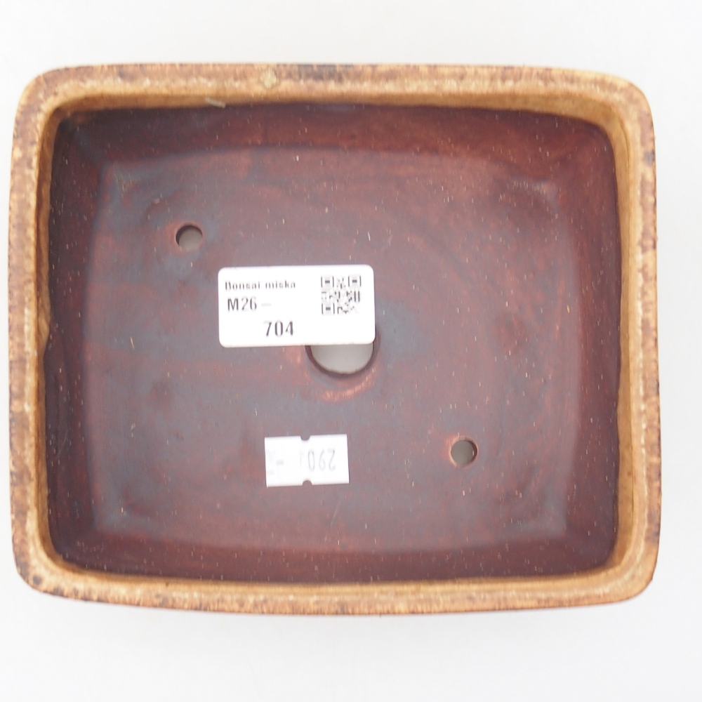 Ciotola per bonsai in ceramica 15 x 12 x 5 cm, marrone