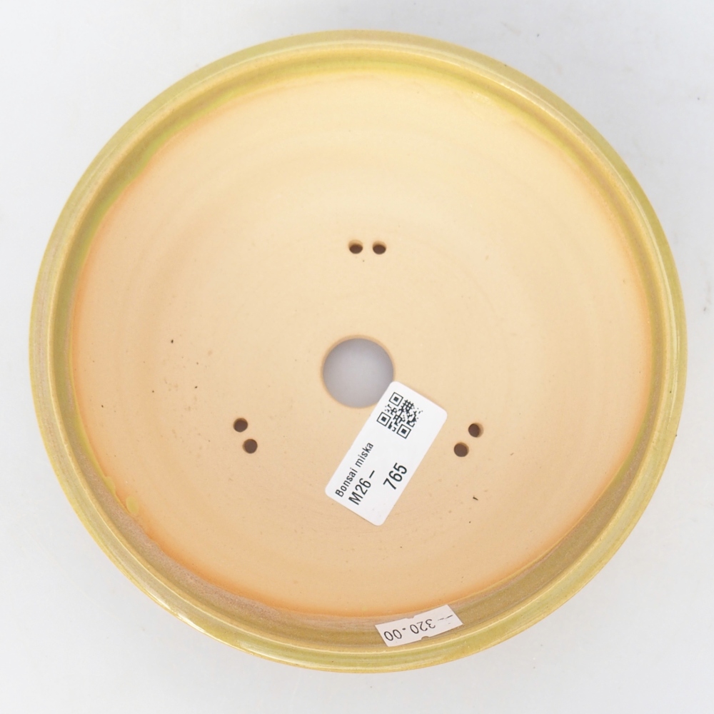 Ciotola bonsai in ceramica 17 x 17 x 5,5 cm, giallo-verde