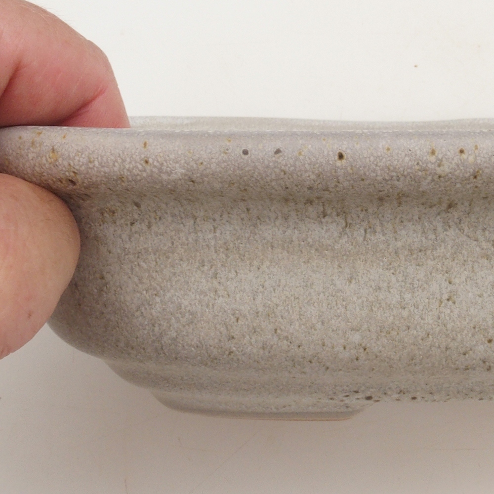 Ciotola per bonsai H25 - 23 x 17 x 5,5 cm - beige