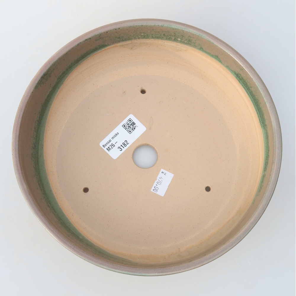 Vaso per bonsai in ceramica 20 x 20 x 6 cm, colore beige