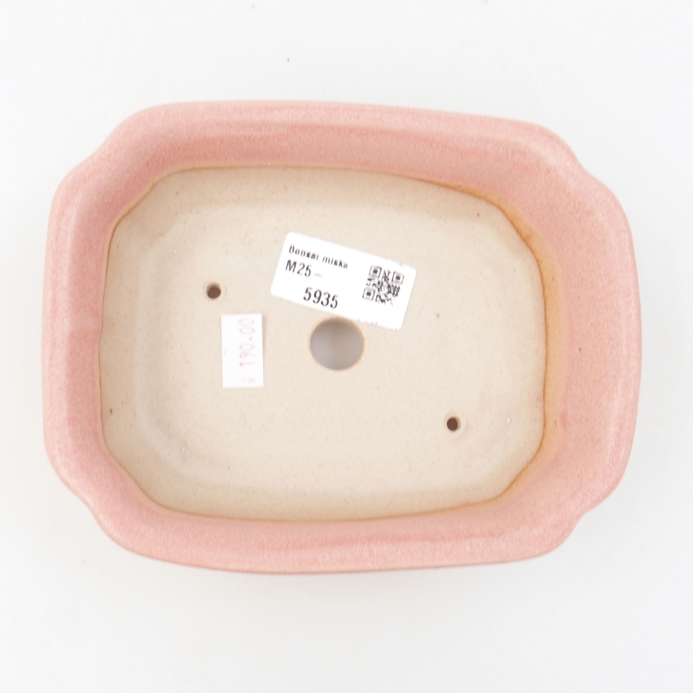 Ciotola bonsai in ceramica 22 x 17 x 5 cm, verde