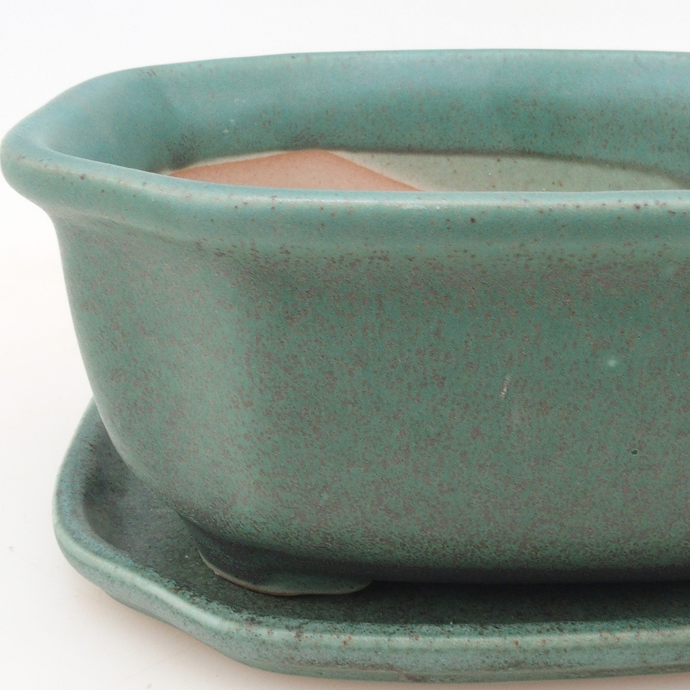 Ciotola bonsai + piattino H31 - verde