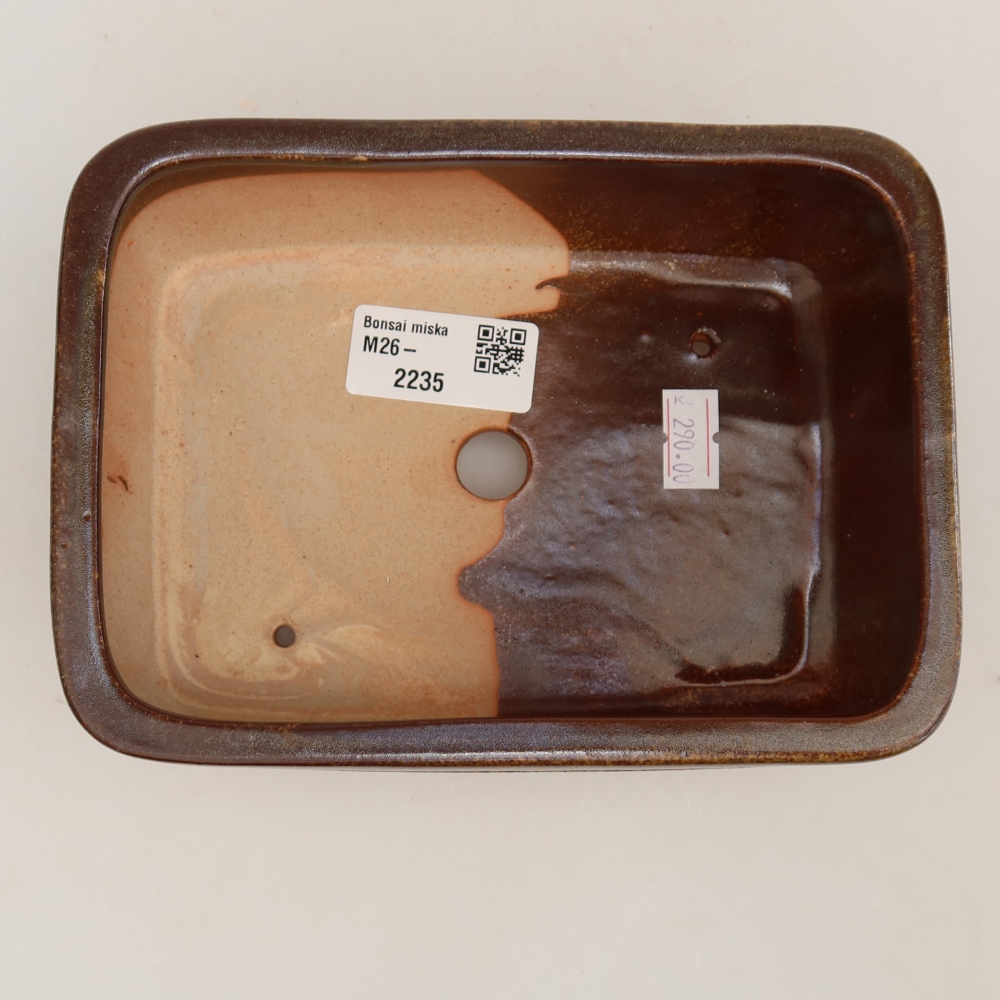 Vaso da bonsai in ceramica 17 x 12,5 x 5,5 cm, colore marrone