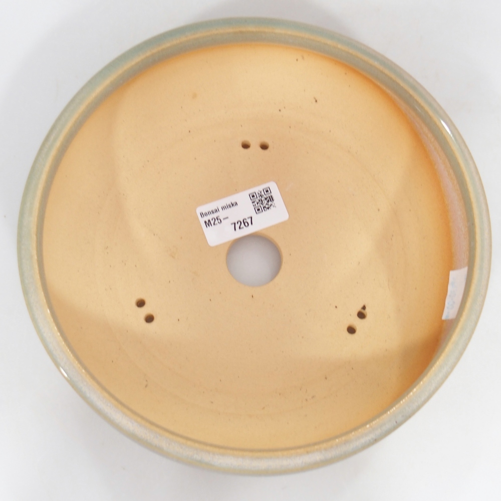 Ciotola bonsai in ceramica 19 x 19 x 6 cm, verde