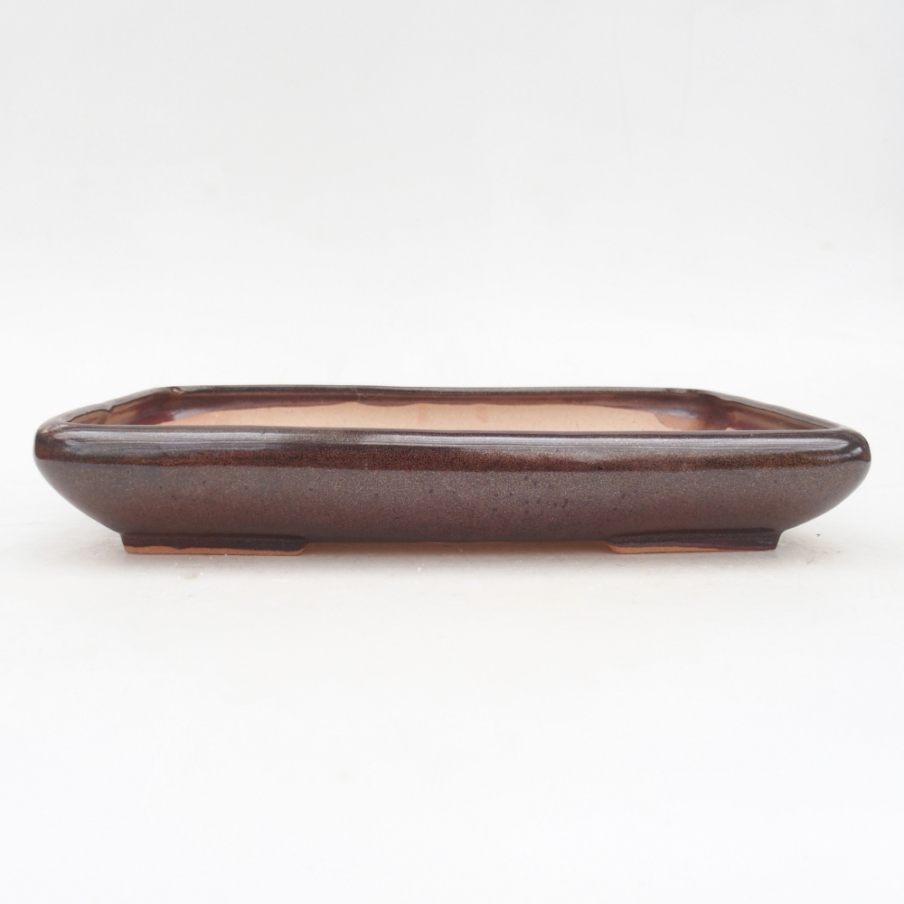 Ciotola per bonsai in ceramica 24 x 17,5 x 4 cm, marrone