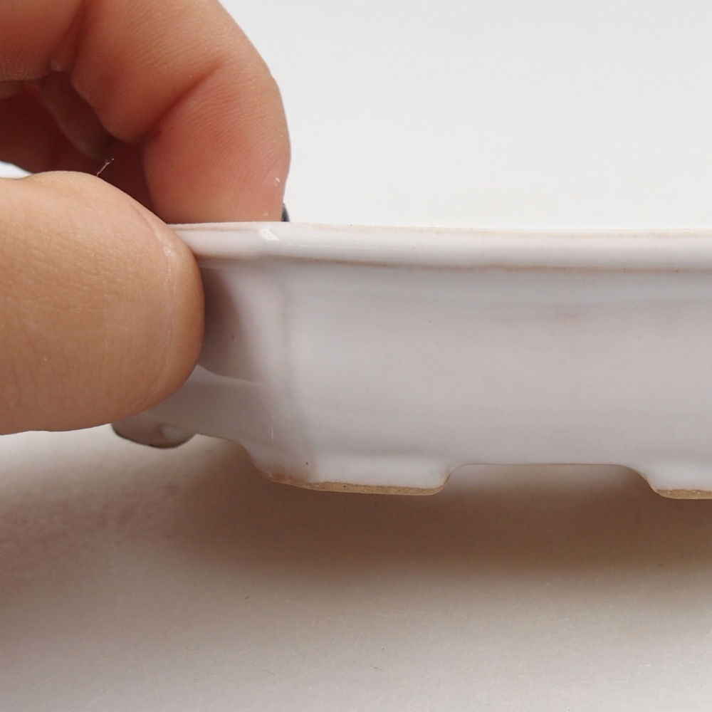 Ciotola bonsai in ceramica 22 x 17 x 5 cm, verde