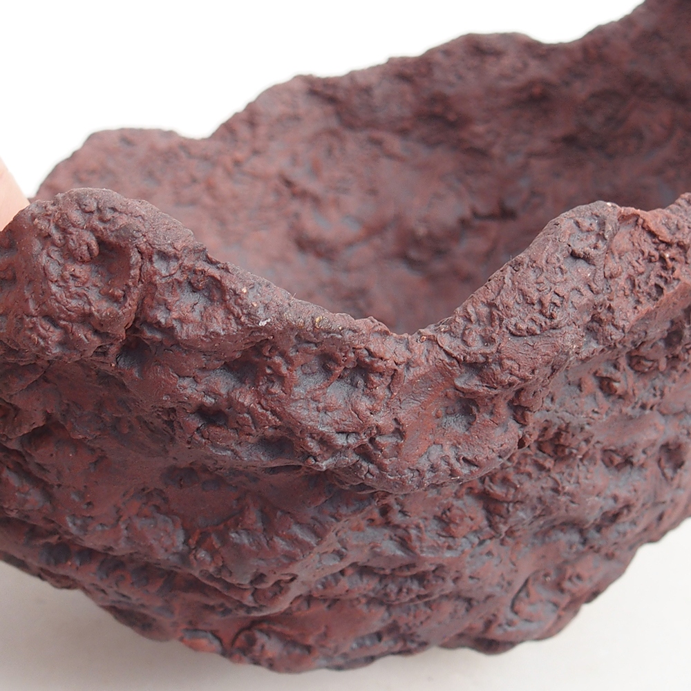 Guscio in ceramica 19 x 17 x 16 cm , colore marrone