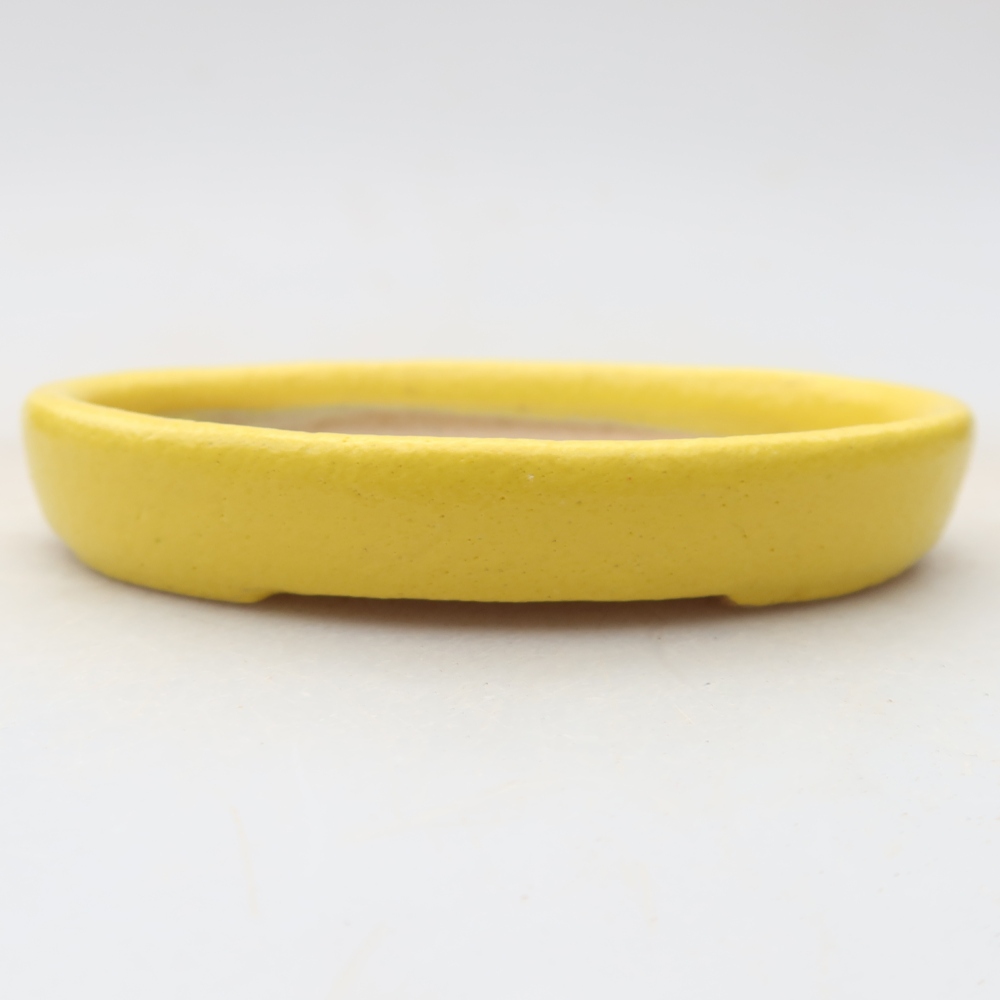 Vaso da bonsai in ceramica 8 x 6 x 1 cm, colore giallo