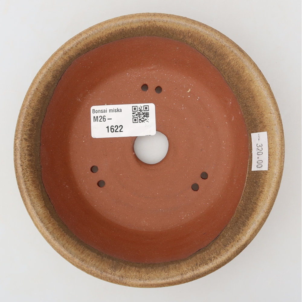 Ciotola per bonsai in ceramica 15 x 15 x 4,5 cm, marrone