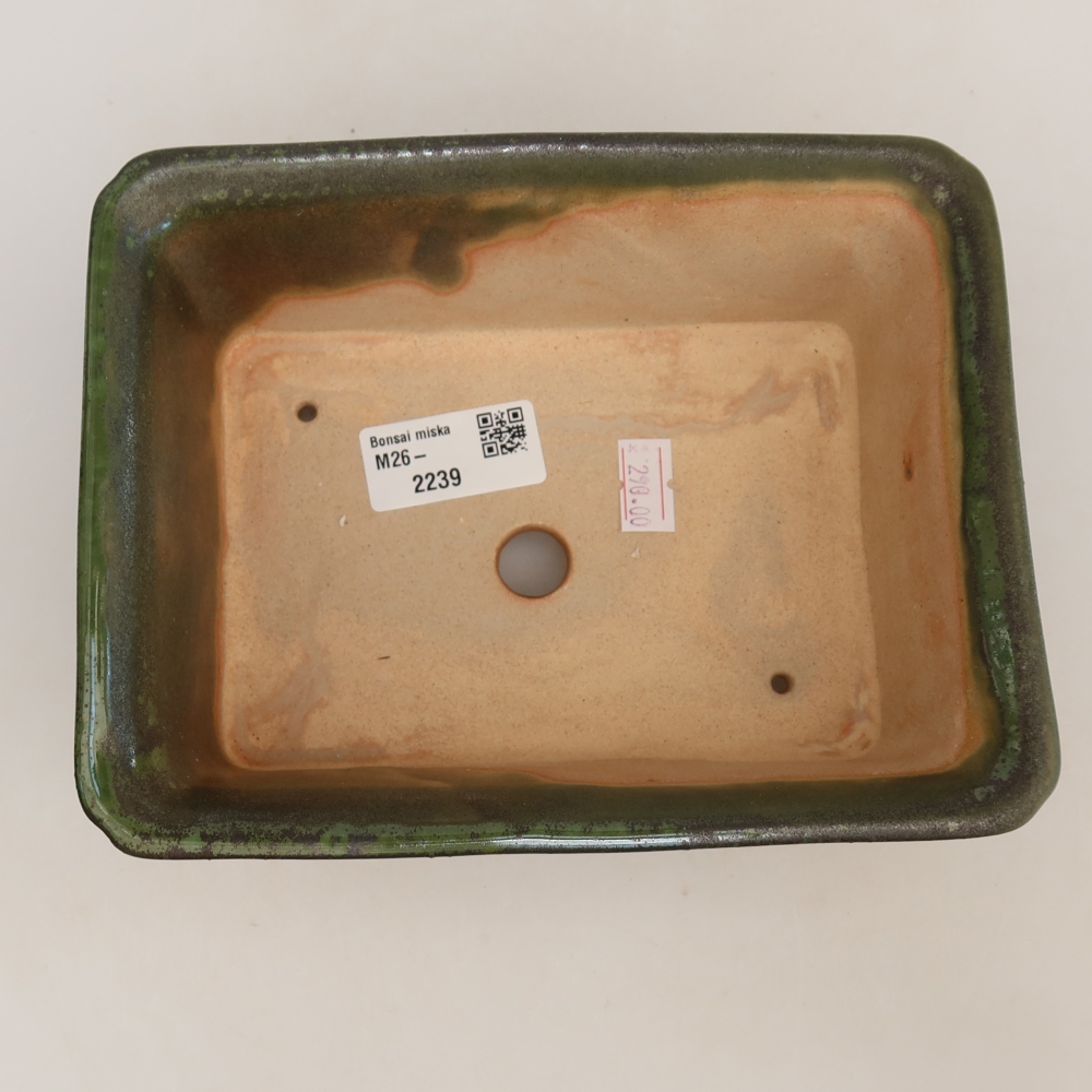 Vaso da bonsai in ceramica 18 x 14 x 7 cm, colore verde