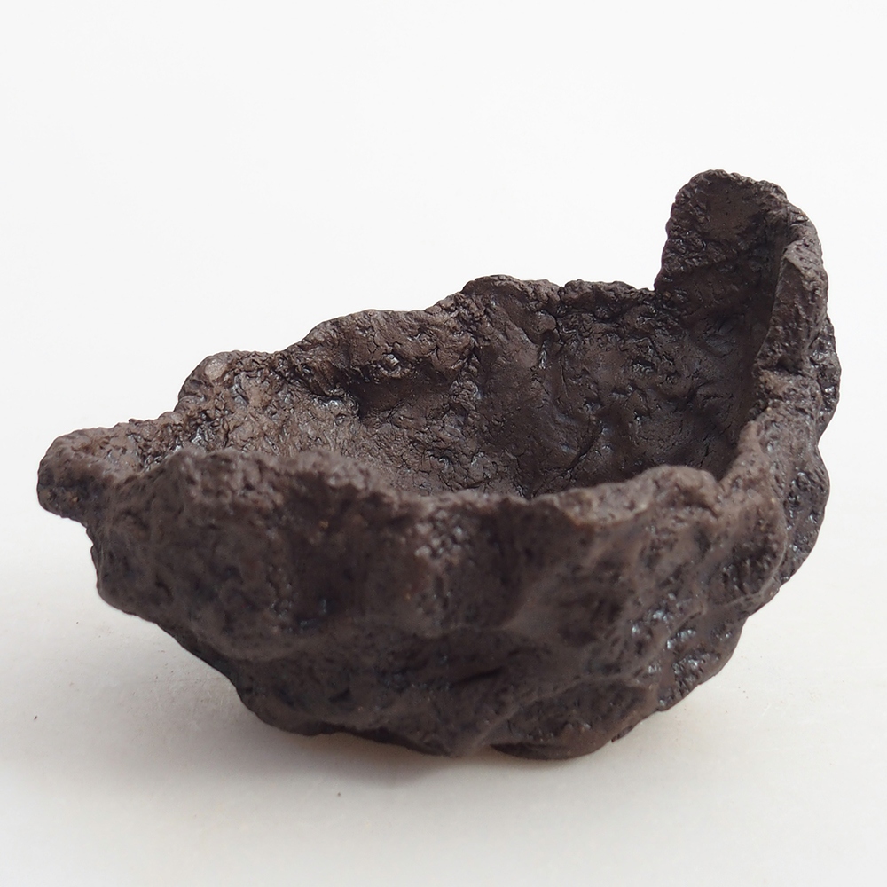 Conchiglia in ceramica 10 x 9 x 7,5 cm , colore marrone